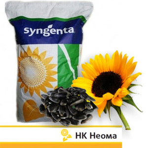 Продам семена подсолнечника Syngenta 