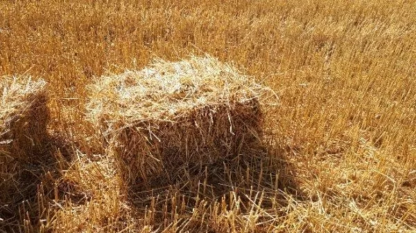 Доставка  пшеничной Соломы в тюках по Запорожью.