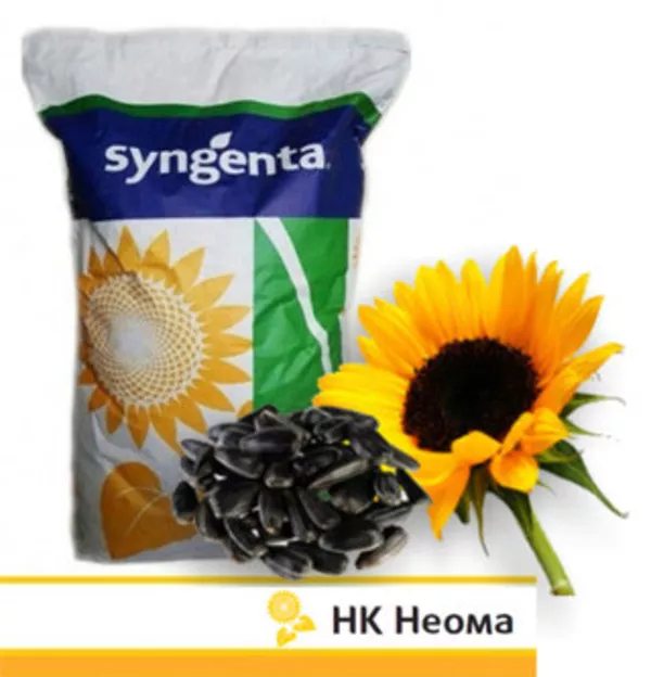 Продам семена подсолнечника Syngenta 