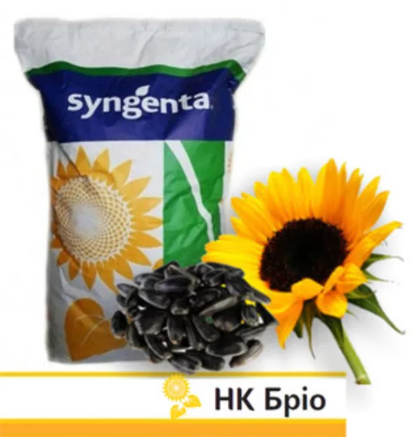 Продам семена подсолнечника Syngenta  3