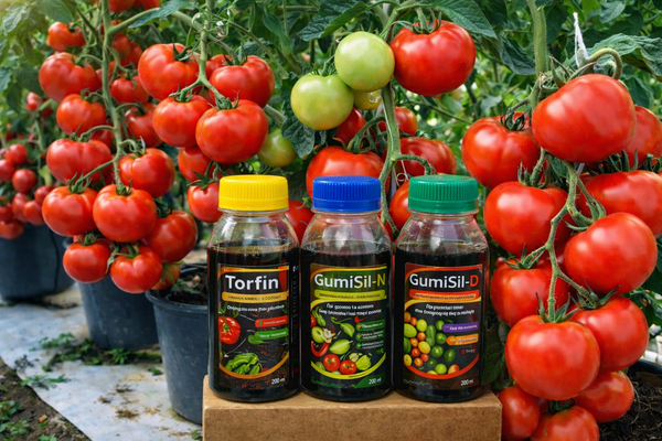 Золoта лінійка мікродобрив GumiSil Trio для городу 4